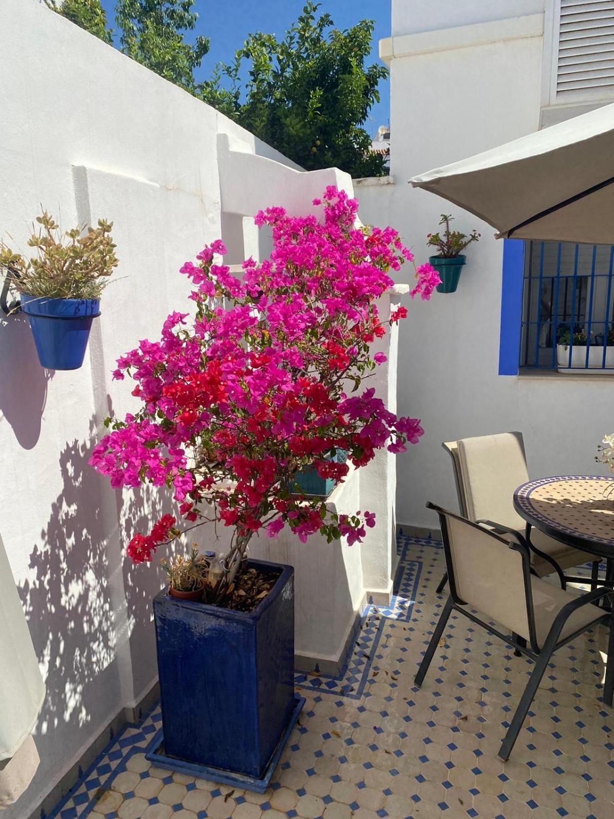 Casa San Miguel Appartement Estepona